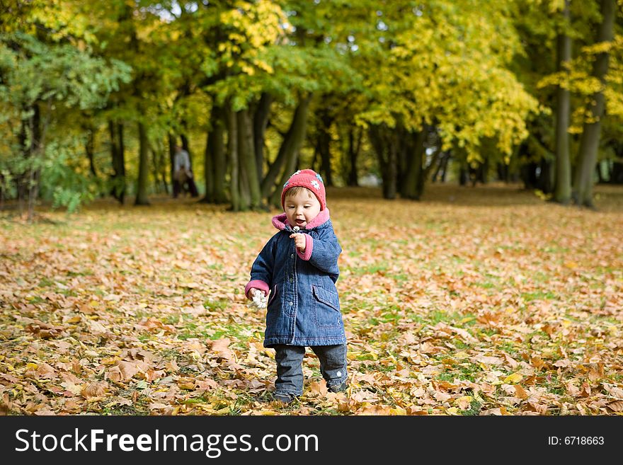 Happy baby girl playing in park with leaves. Happy baby girl playing in park with leaves