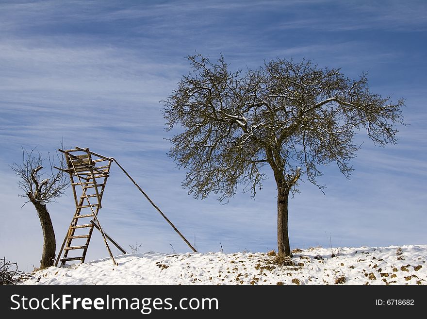 Appel Tree and High Seat at Winter