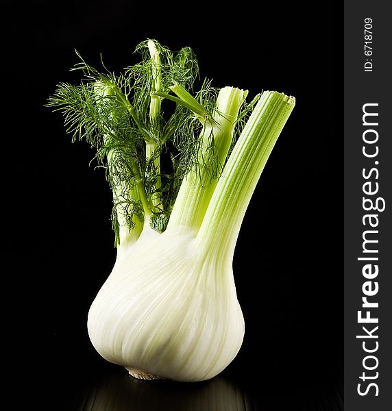 A fresh fennel on black background