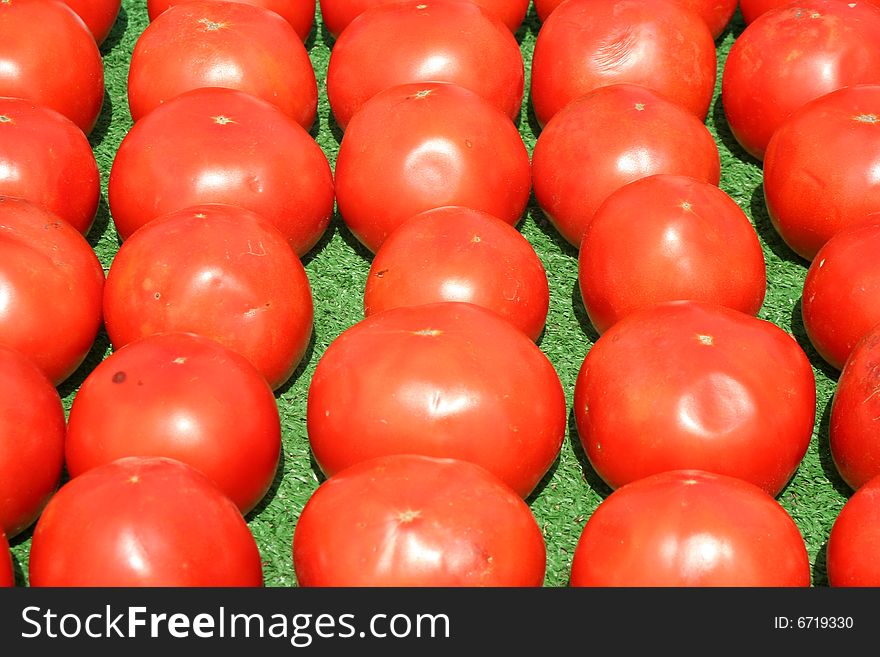 Tomatoes Lined Up For Sale