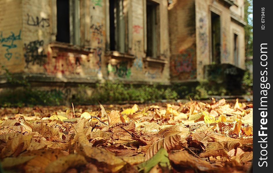 Autumn.Old house.Focus on a foreground.Shallow DOF.