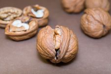 Cracked Walnut In The Middle On Blurred Background &x28;gray Shade&x29; Royalty Free Stock Photography Cracked Walnut In The Middle On Blurred Background &x28;gray Shade&x29; Royalty Free Stock Photography