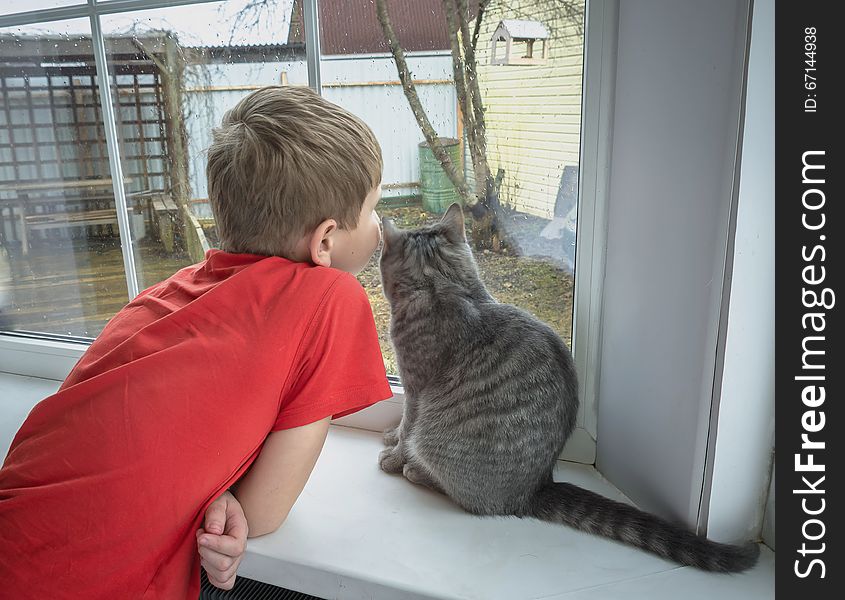 Boy and a cat looking out the window