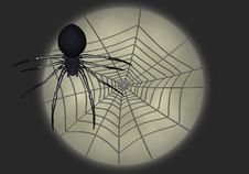 Black Widow Illustration 5 Stock Photo Black Widow Illustration 5 Stock Photo