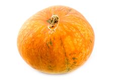 Ripe And Useful Pumpkin Royalty Free Stock Photos Ripe And Useful Pumpkin Royalty Free Stock Photos