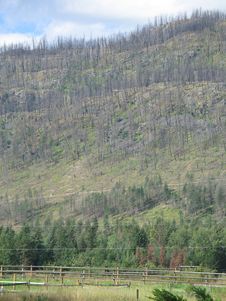 Mountain After A Forest Fire Stock Photos Mountain After A Forest Fire Stock Photos
