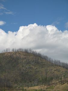 Mountain After A Forest Fire Royalty Free Stock Images