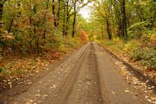 Autumn Road Royalty Free Stock Photos Autumn Road Royalty Free Stock Photos