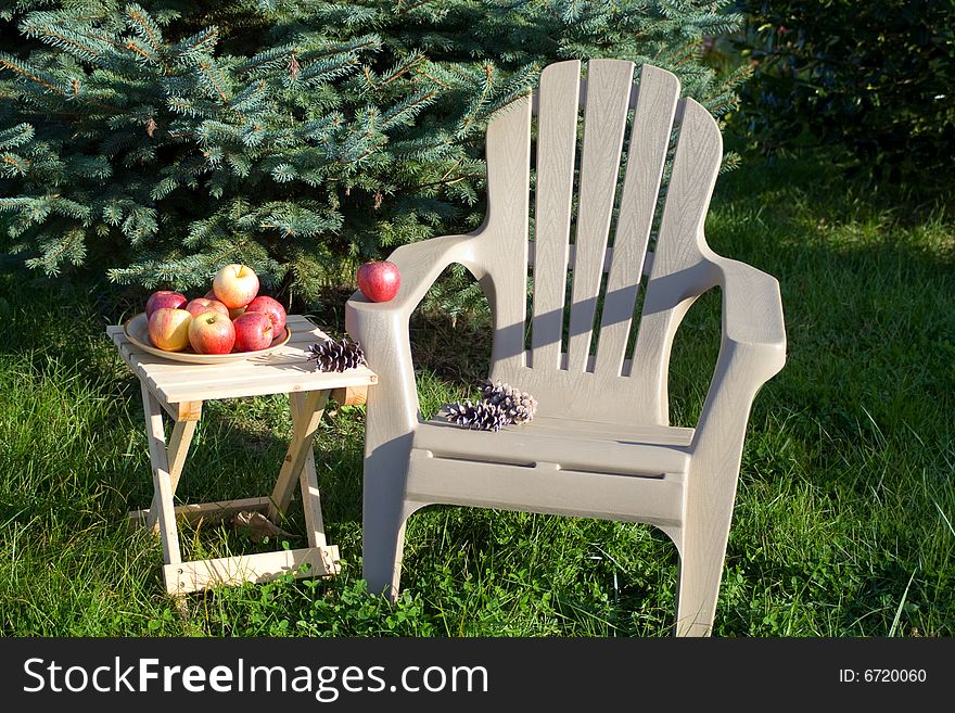 Lounge chair beside an evergreen tree. Wooden table with plate of Gala apples. Lounge chair beside an evergreen tree. Wooden table with plate of Gala apples.
