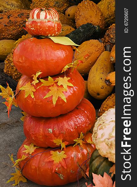 Fall pumpkins stacked and surrounded by fall leaves. Fall pumpkins stacked and surrounded by fall leaves.