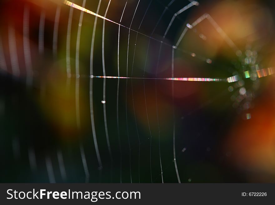 Abstract blurred spiderweb colorful background