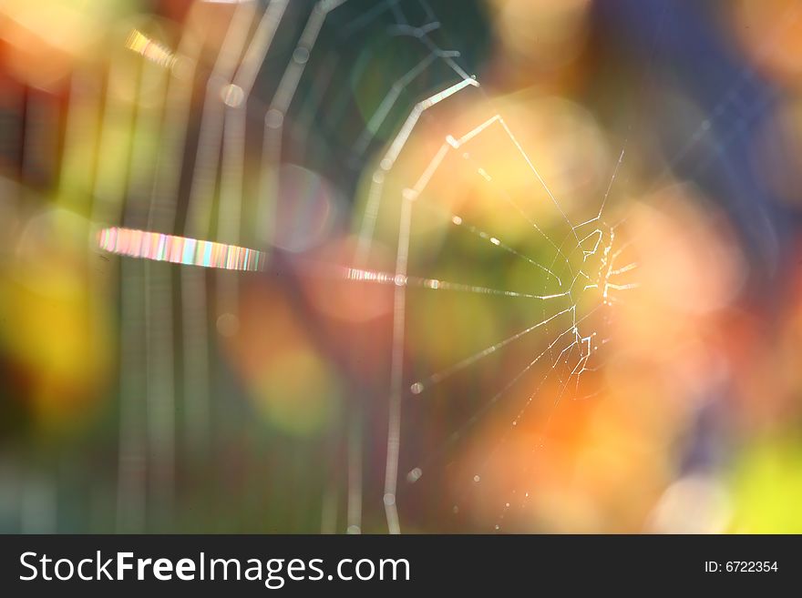 Abstract blurred spiderweb colorful background