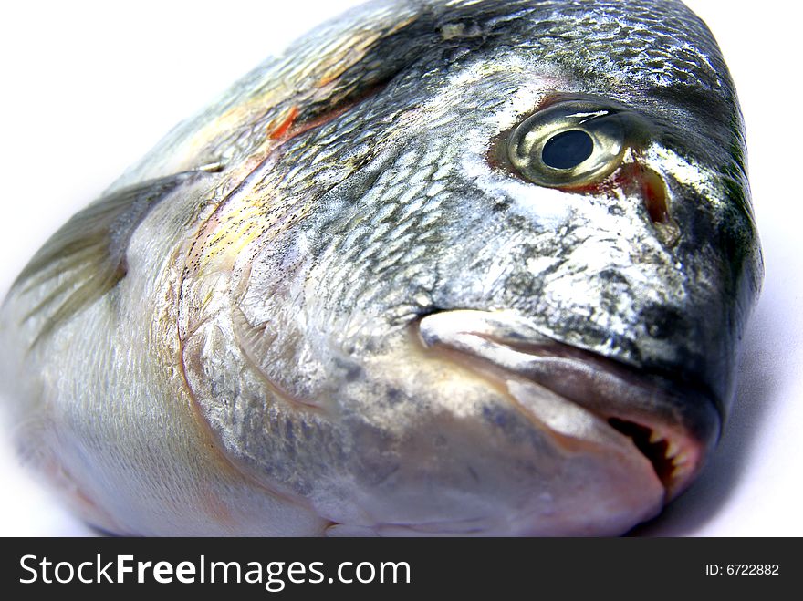 Detail view of a fresh raw sea bream isolated. Detail view of a fresh raw sea bream isolated.