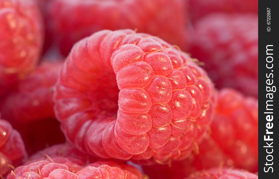 Close-up of a delicious raspberry