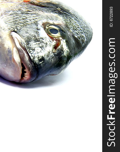 Detail view of a fresh raw sea bream isolated. Detail view of a fresh raw sea bream isolated.