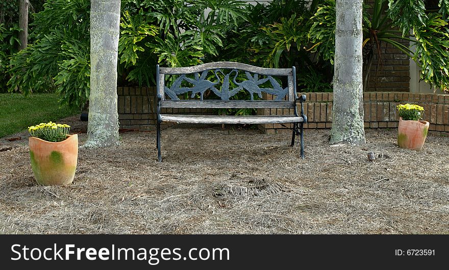 Photo of a Park bench under two palm trees. Photo of a Park bench under two palm trees