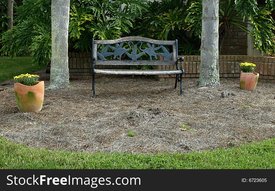 Photo of a Park bench under two palm trees. Photo of a Park bench under two palm trees