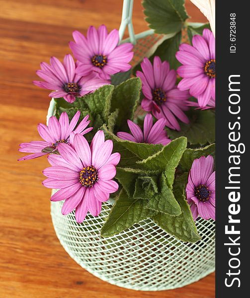 Beautiful pink daisies and leaves in a basket on wooden table