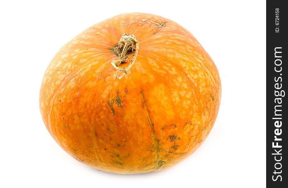 Big orange ripe and useful pumpkin vegetable on white background