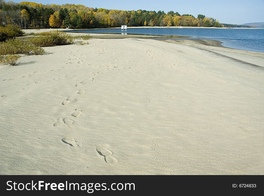 Some footprints in the sand across a beach