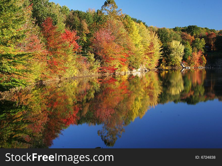 Beautiful autumn colored trees alongside a pond, reflecting in the glassy smooth surface of the water. Beautiful autumn colored trees alongside a pond, reflecting in the glassy smooth surface of the water.