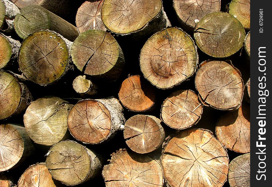 Detail of a firewood stack. Detail of a firewood stack