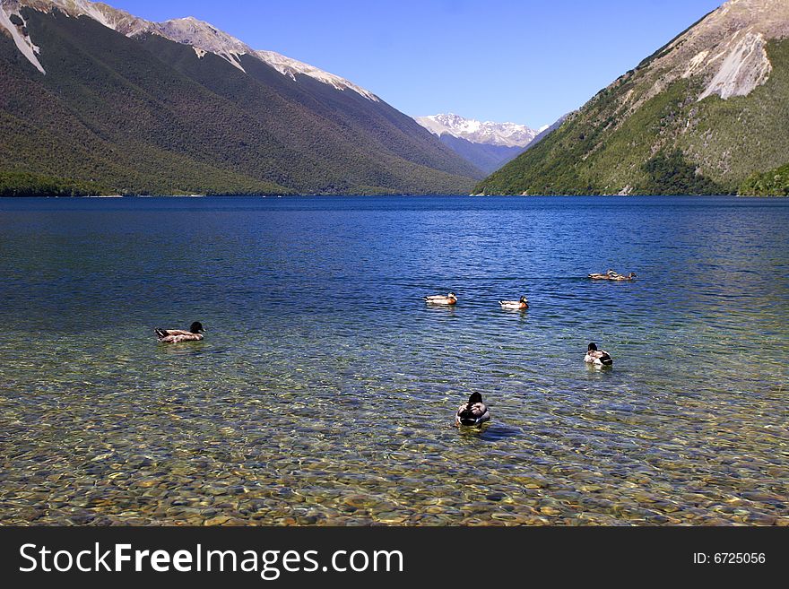 Pure lake rotoiti New Zealand,. Pure lake rotoiti New Zealand,