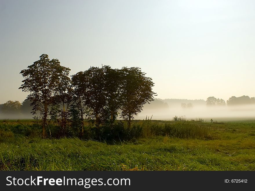 A shot of a foggy landscape in the earkly morning