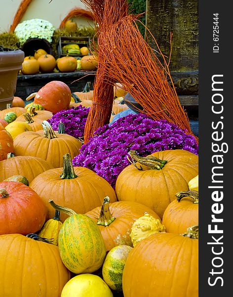 A Autumn Still life with many pumpkins and flowers