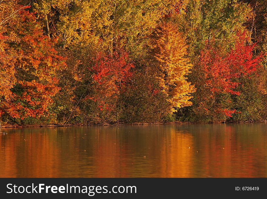 Brilliant autumn colors with leaves on fire. Brilliant autumn colors with leaves on fire