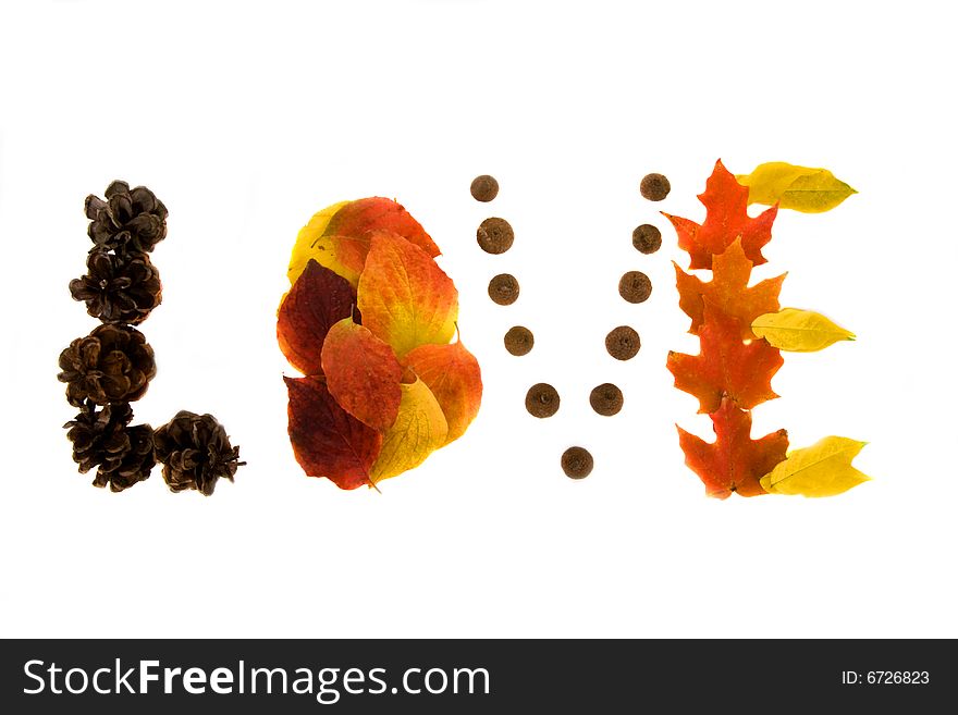 The word love spelled out in colored leafs. Isolated on a white  background.