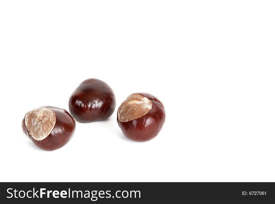 Three chestnuts isolated on a white background. Three chestnuts isolated on a white background.