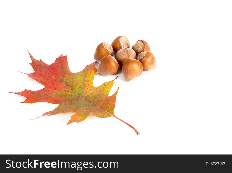 Hazel-nuts and leaf isolated on a white background. Hazel-nuts and leaf isolated on a white background.