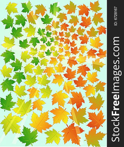 Colorful autumn maple leafs on blue background