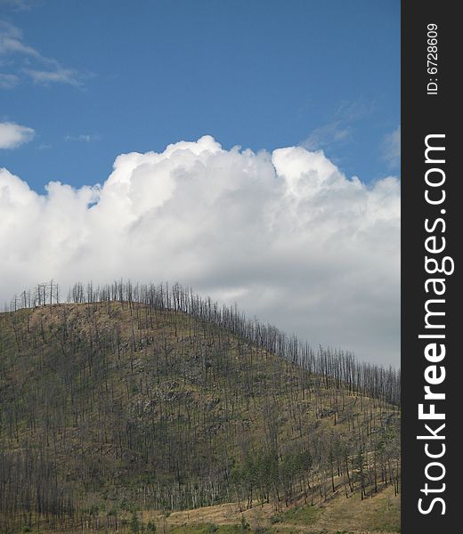 A large mountain after a forest fire