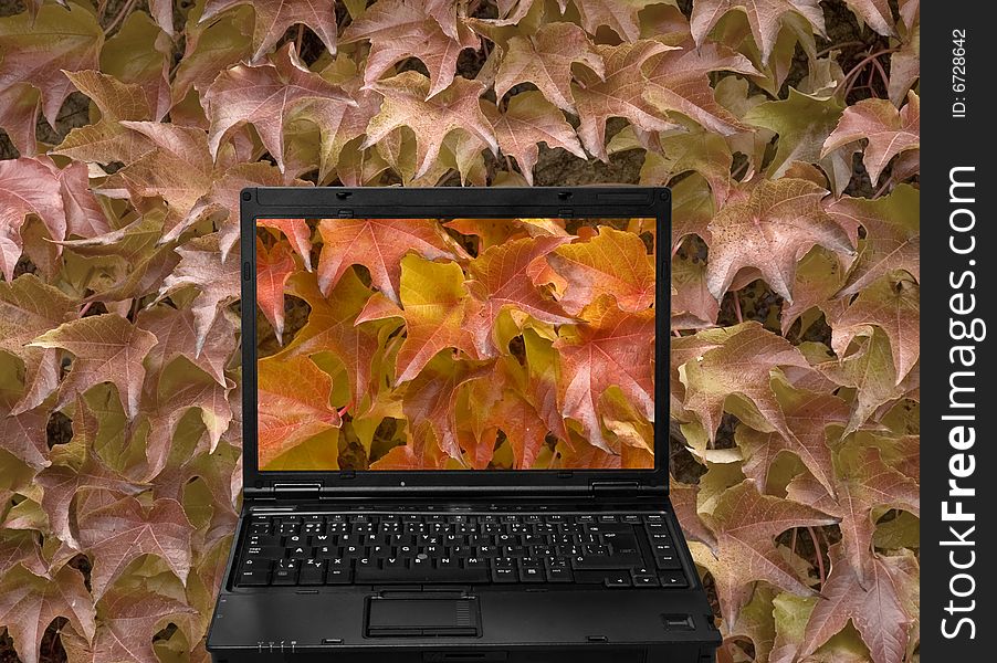 Notebook bright screen, more saturated part of background photography behind a notebook screen.