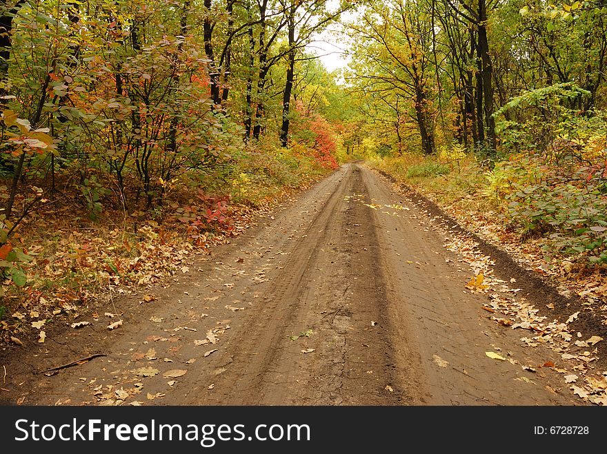 Autumn road. A photo of the nature, with soil road