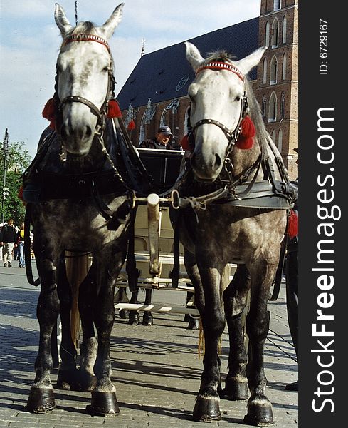 Main square Krakow/ Cracow Poland. Main square Krakow/ Cracow Poland