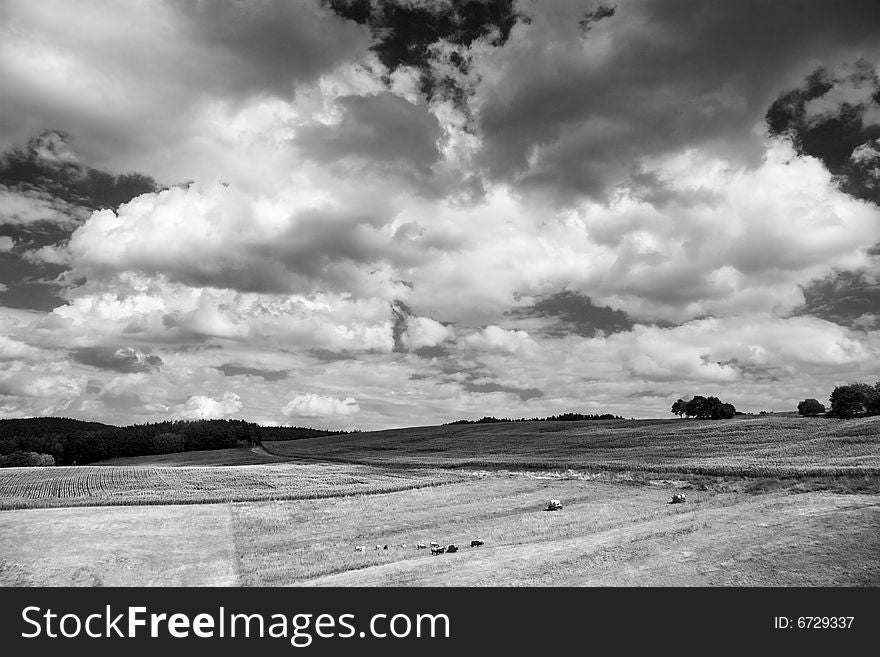 Clouds over agriculture field with kine