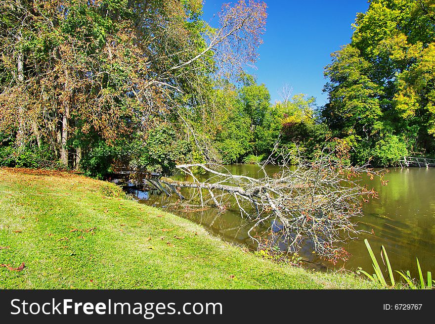 Pictorial landscape - with river and forest. Pictorial landscape - with river and forest