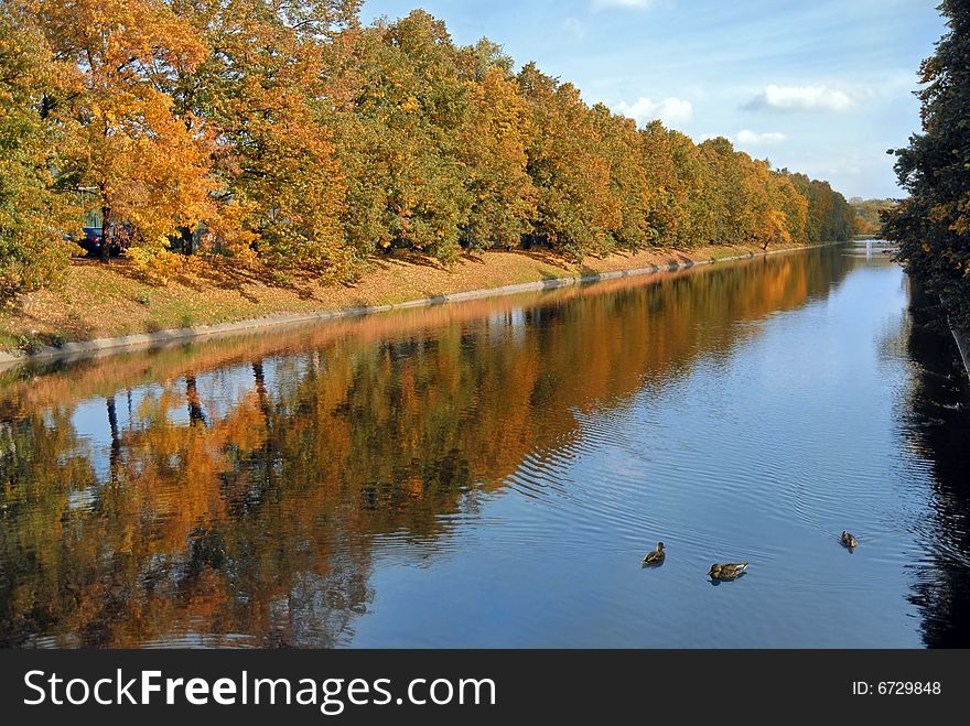 City park and pond in tha fall season. Some ducks swimming on water. City park and pond in tha fall season. Some ducks swimming on water.