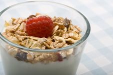 Deliciously Fresh Yogurt And Muesli Stock Images Deliciously Fresh Yogurt And Muesli Stock Images