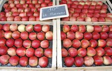Apples Royalty Free Stock Image Apples Royalty Free Stock Image