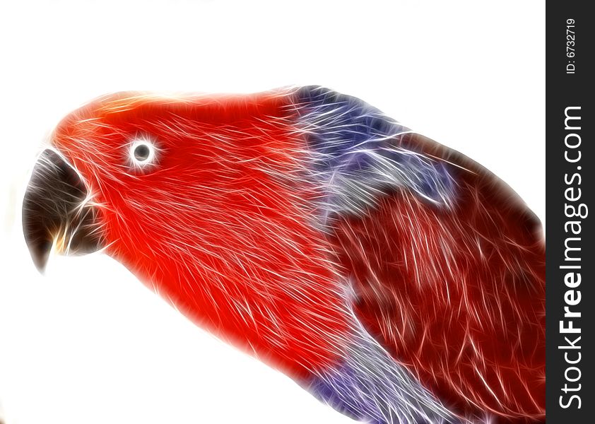 Digital Red Arara (macaw)