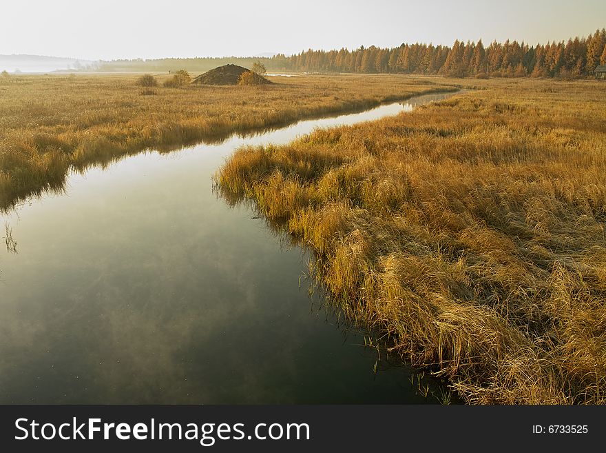 A view of morning grassland and forest with a small river. A view of morning grassland and forest with a small river.