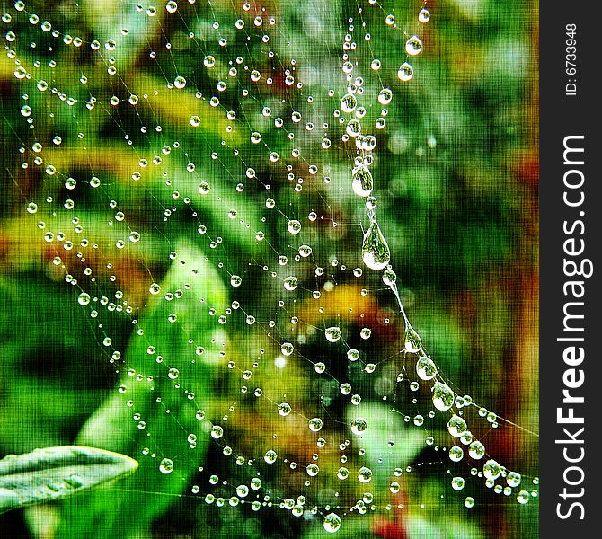 Spider web heavy with morning dew against green foliage and added background textures. Spider web heavy with morning dew against green foliage and added background textures