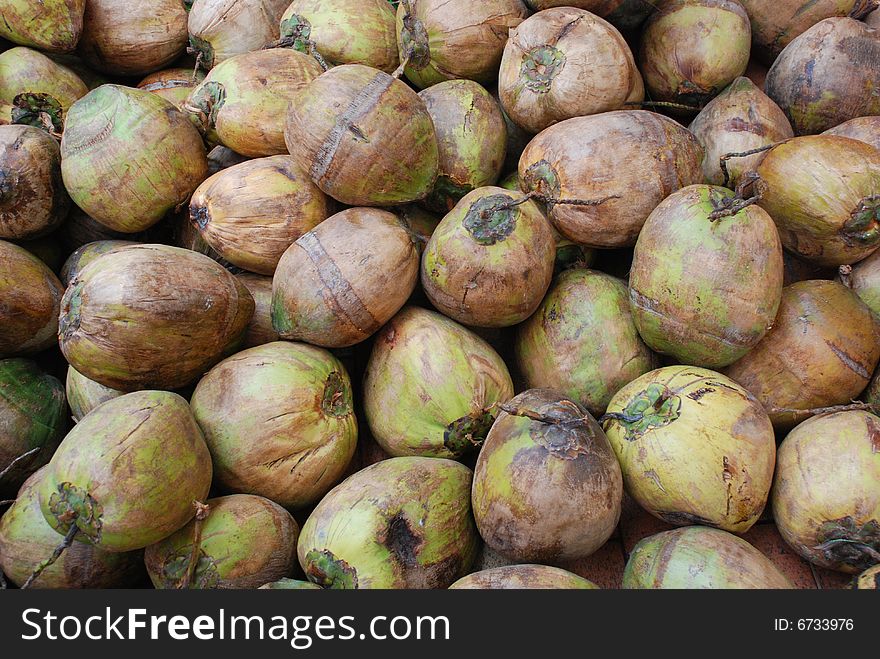 The raw green and brown coconut fruit  pile background. The raw green and brown coconut fruit  pile background.