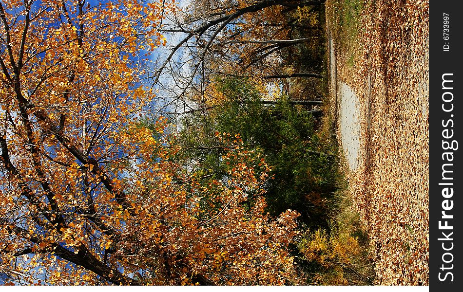 A beautiful Autumn day in Colorado. A beautiful Autumn day in Colorado