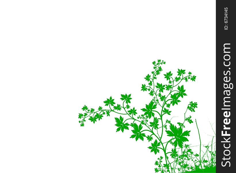 A white background with a large green foliage pattern in a corner. A white background with a large green foliage pattern in a corner