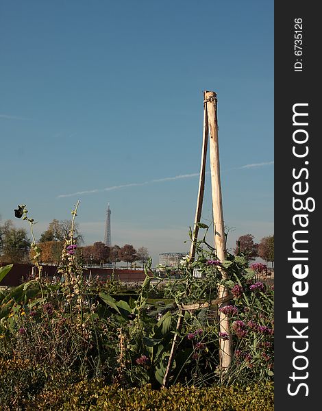 Tuilleries Gardens with Eiffel tower in background